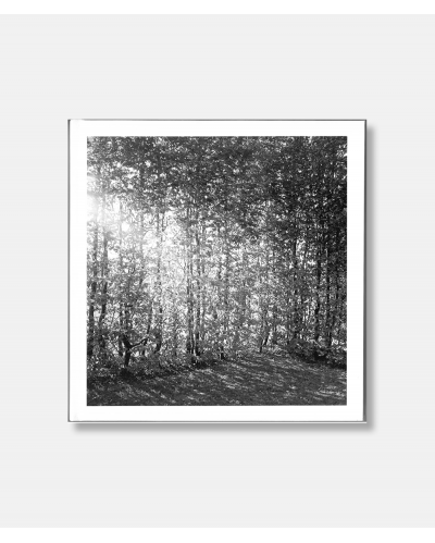 Et foranderligt monument - De musikalske haver af C.Th. Sørensen